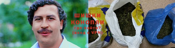 шишки Беломорск