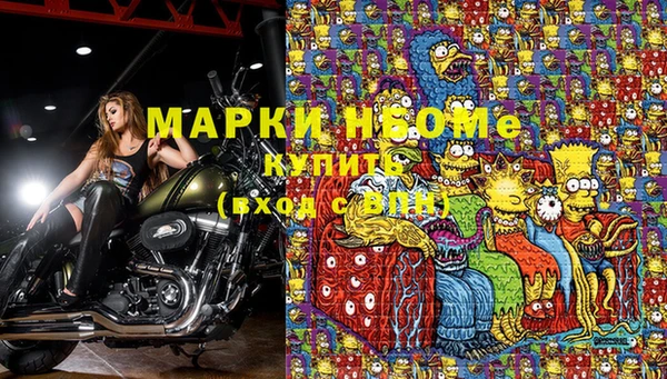 гашик Белоозёрский