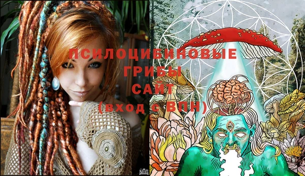 МДПВ Белокуриха