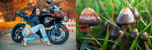 МДПВ Белокуриха