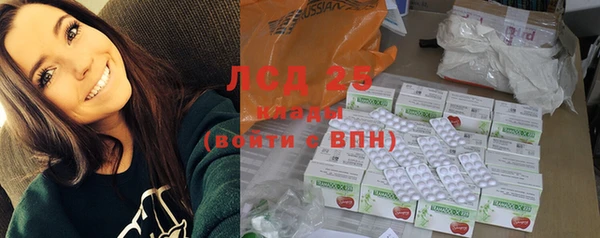 шишки Беломорск