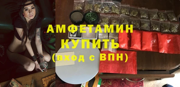 шишки Беломорск