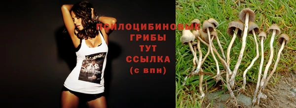гашик Белоозёрский