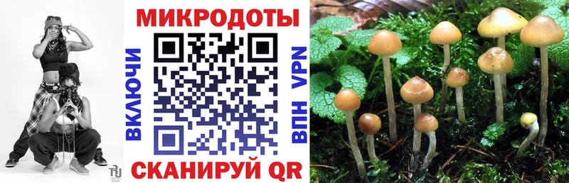 Псилоцибиновые грибы Psilocybine cubensis  omg рабочий сайт  Богучар  где купить  